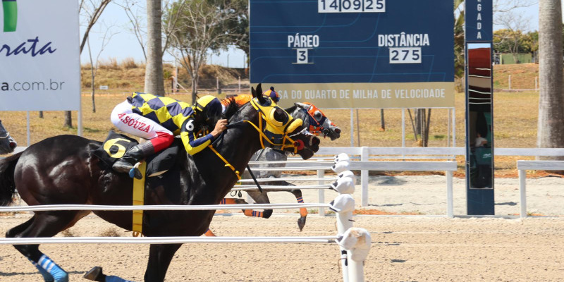 Terceiro Páreo –  Homenagem ao SENADOR OTTO ALENCAR