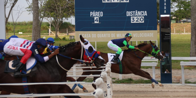 Final Taça de ouro - 2025  