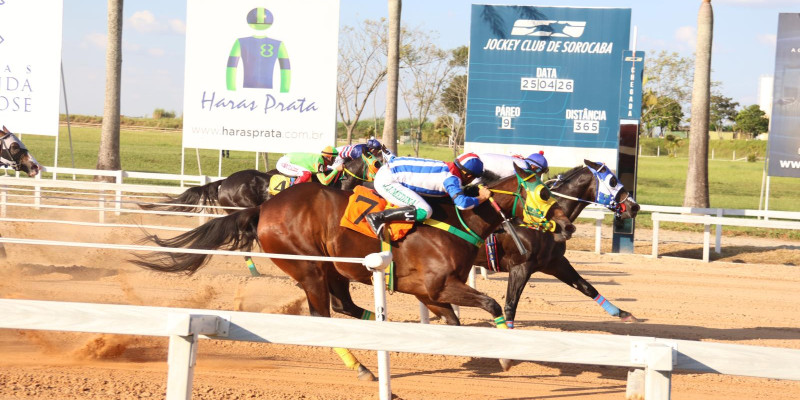 GP PRES ABQM- II DERBY -Sra.Monica Ribeiro Castro Cunha