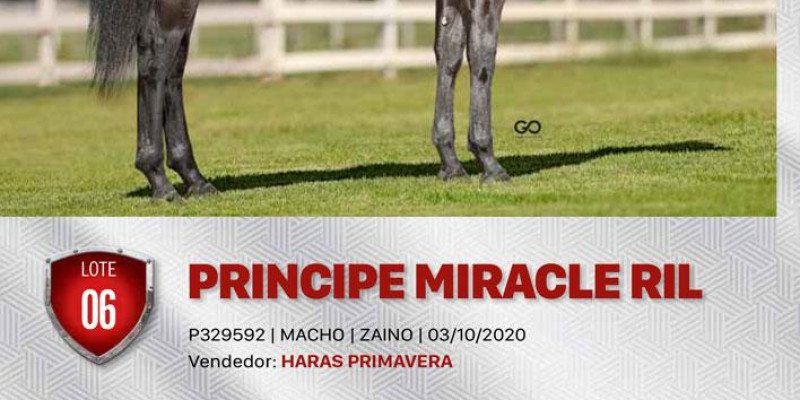 Revista Victory Race