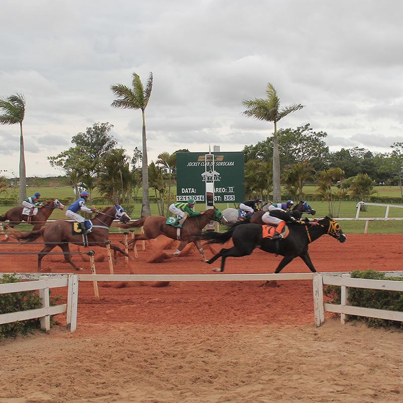 Ler mais sobre MUST GO REASON SA  LEVA O TROFEU CAMPEÃO DOS CAMPEÕES 2016