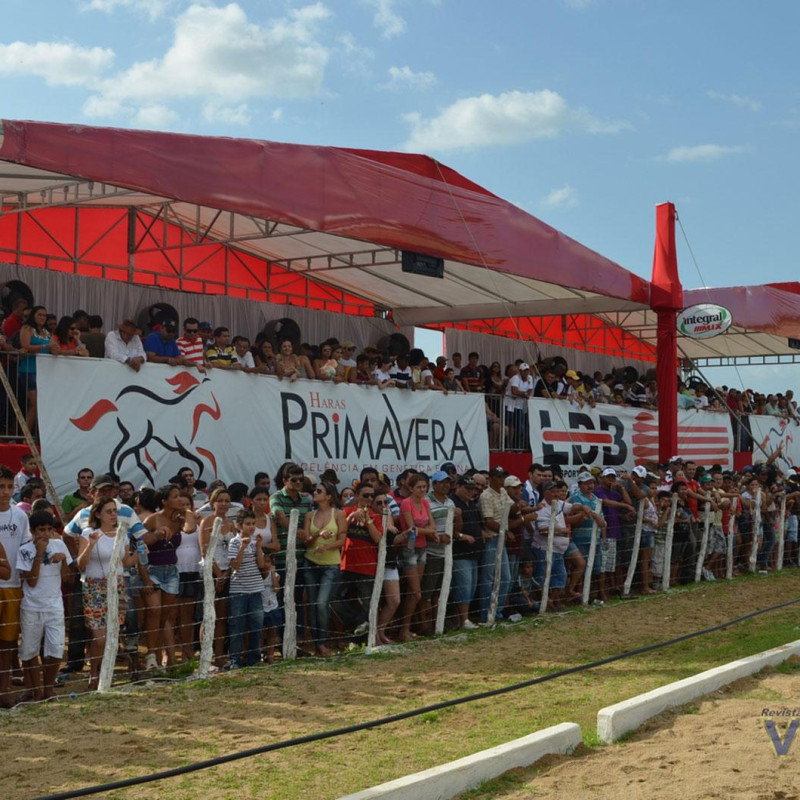 Ler mais sobre DEZ ANOS DE GP HARAS PRIMAVERA! 