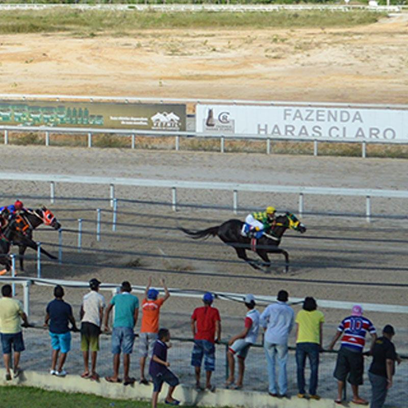Ler mais sobre CONSOLAÇÃO - VIII GP FORTALEZA QUARTER HORSE SHOW 2017
