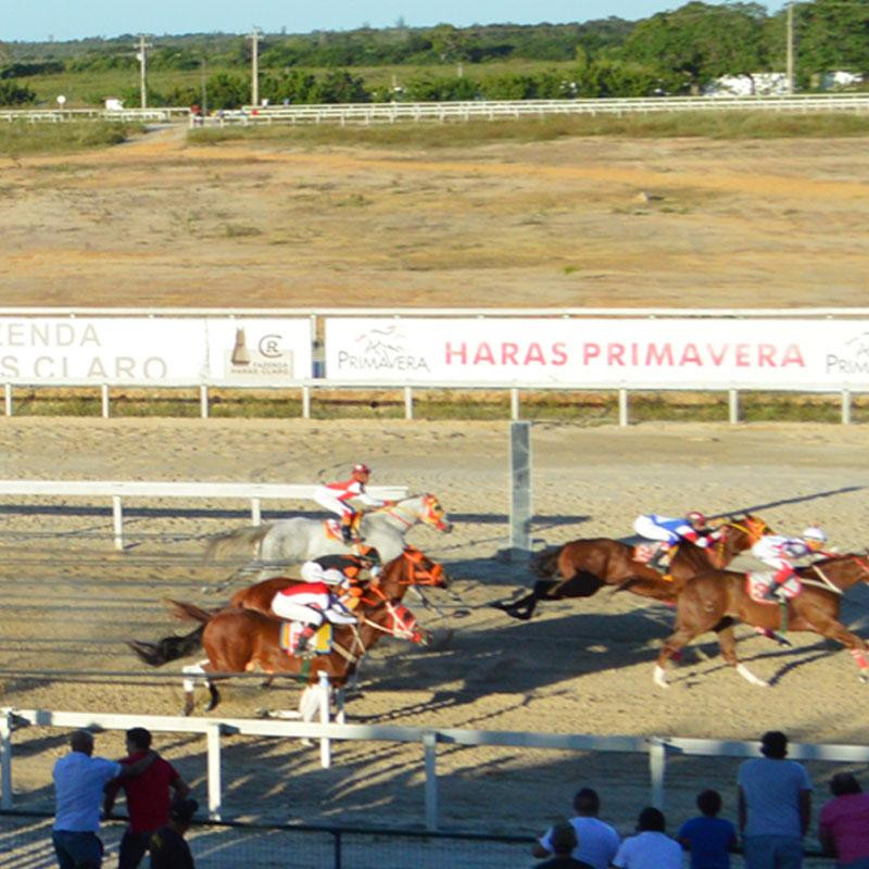 Ler mais sobre VIII GP FORTALEZA QUARTER HORSE SHOW 2017