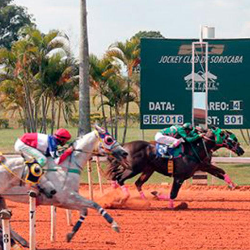 Ler mais sobre GP PRES. CENTRO HIPICO DO OESTE (SR. JONATAS DANTAS) - I DERBY