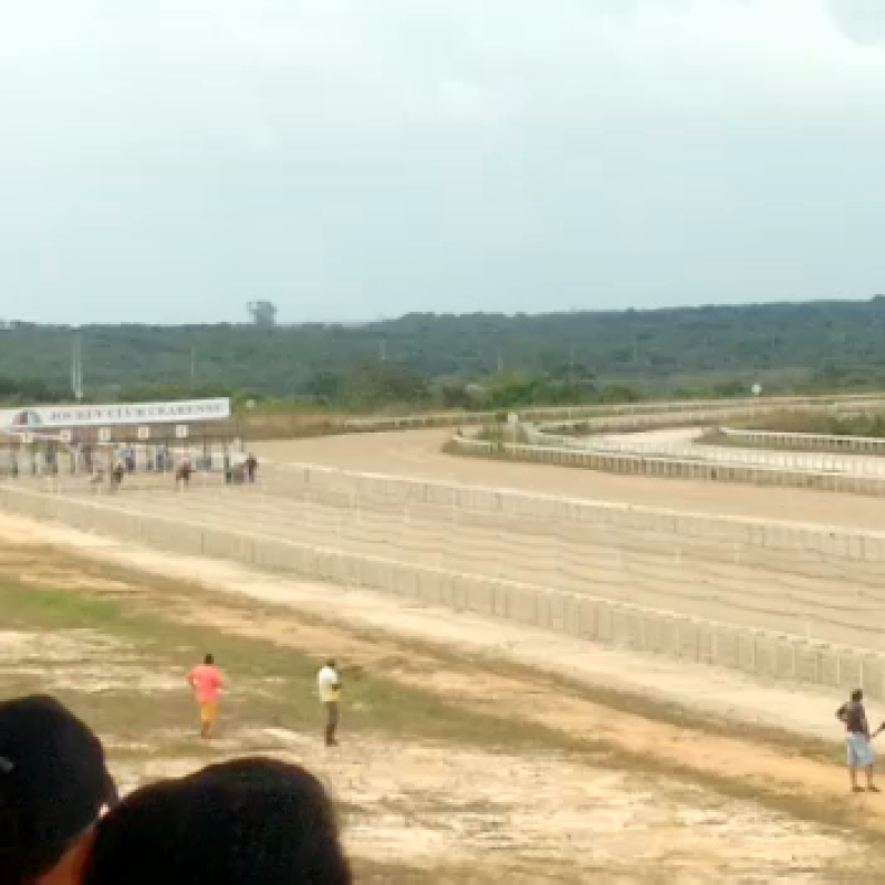 Ler mais sobre IX Grande Prêmio Quarter Horse Show em Fortaleza - Classificatória 2018