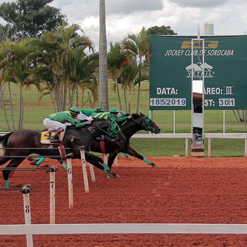 Ler mais sobre GP PRES. DO CENTRO HIPICO DO OESTE – I DERBY - 2019