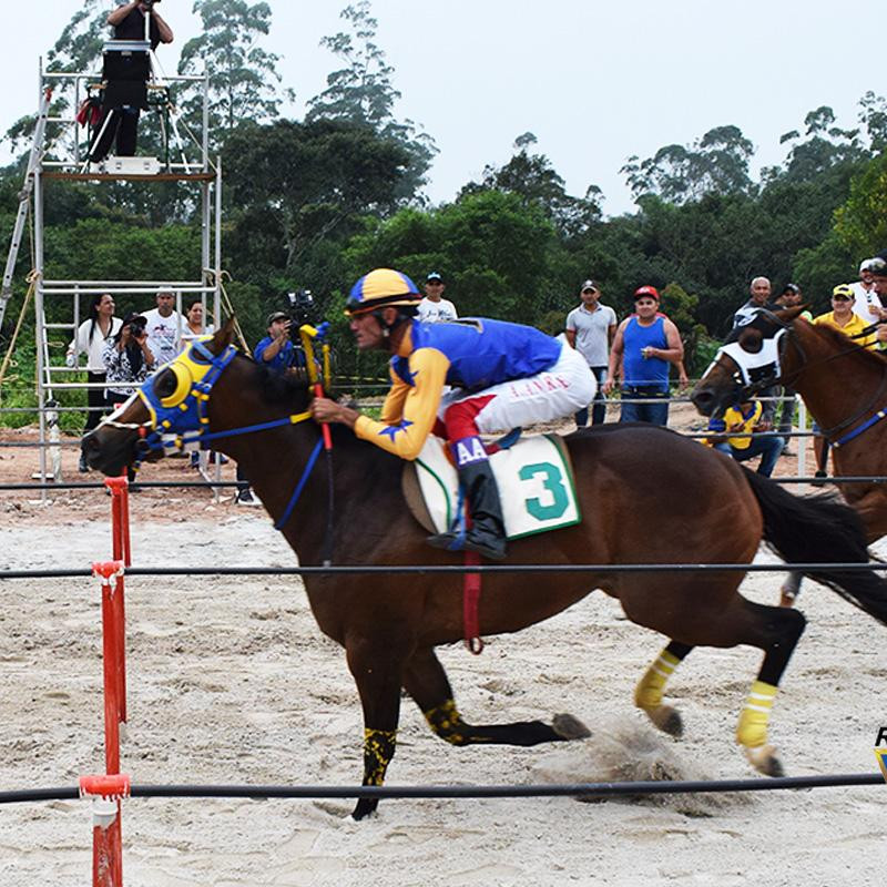 Ler mais sobre I TORNEIO CIDADE DE SÃO PAULO - 2020 
