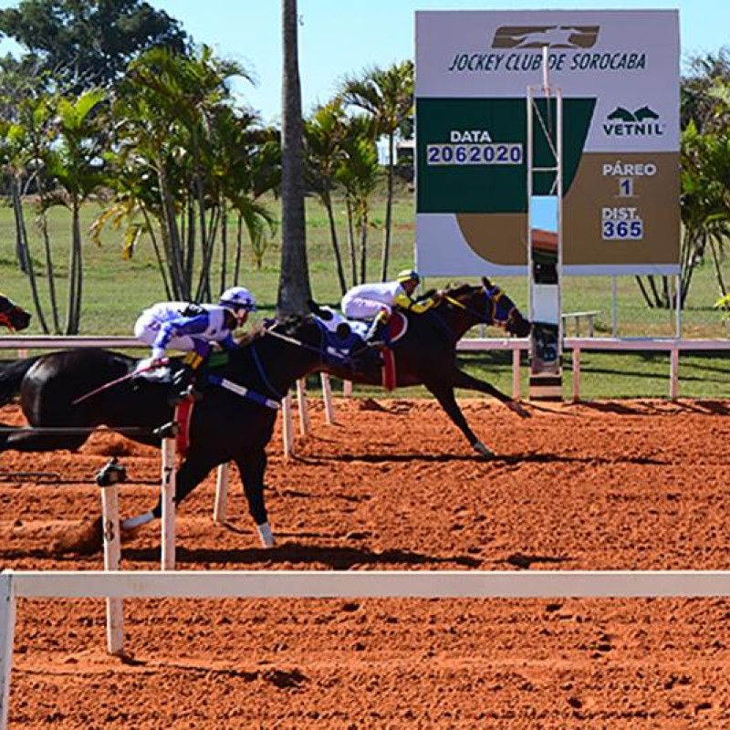 Ler mais sobre  GP AMÉRICA FUTURITY- 2020