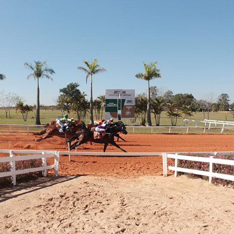 Ler mais sobre TORNEIO ESPECIAL HENRIQUE OSELIERO -2020