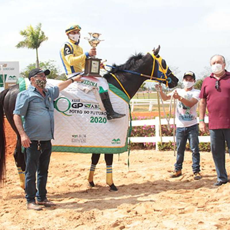 Ler mais sobre FINAL - XLIII GP POTRO DO FUTURO – 2020