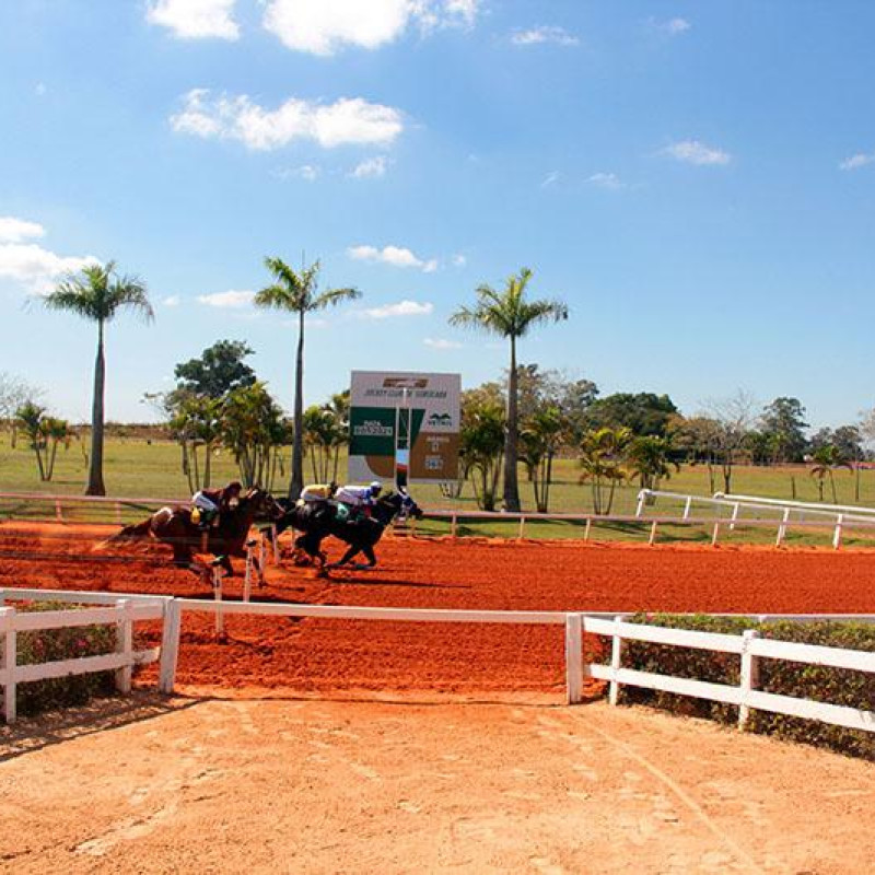 Ler mais sobre FINAL GRANDE PRÊMIO AMERICA FUTURITY – 2021