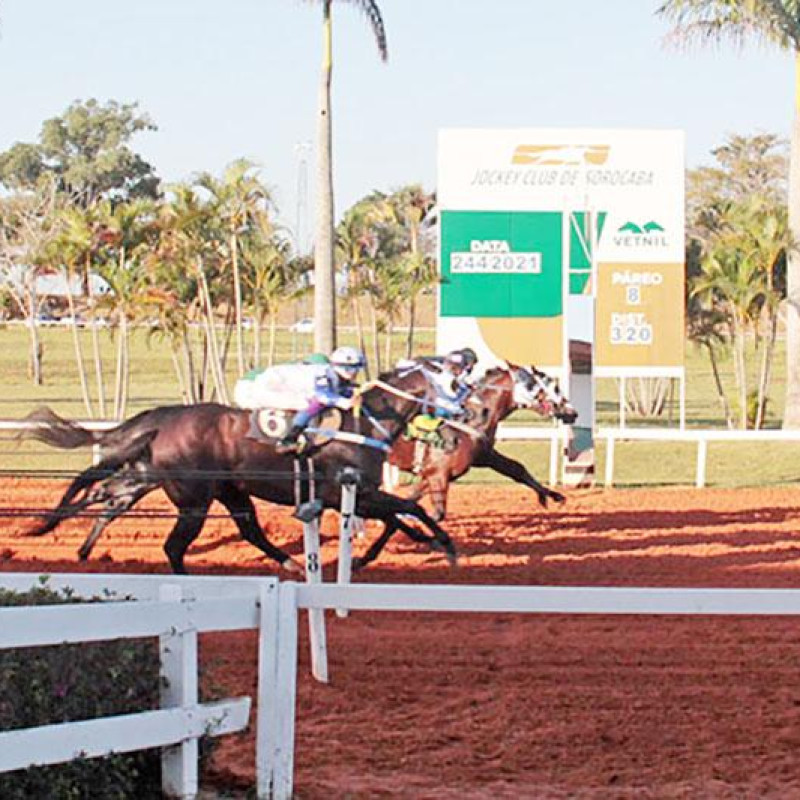 Ler mais sobre GP BRAZILIAN FUTURITY 2021