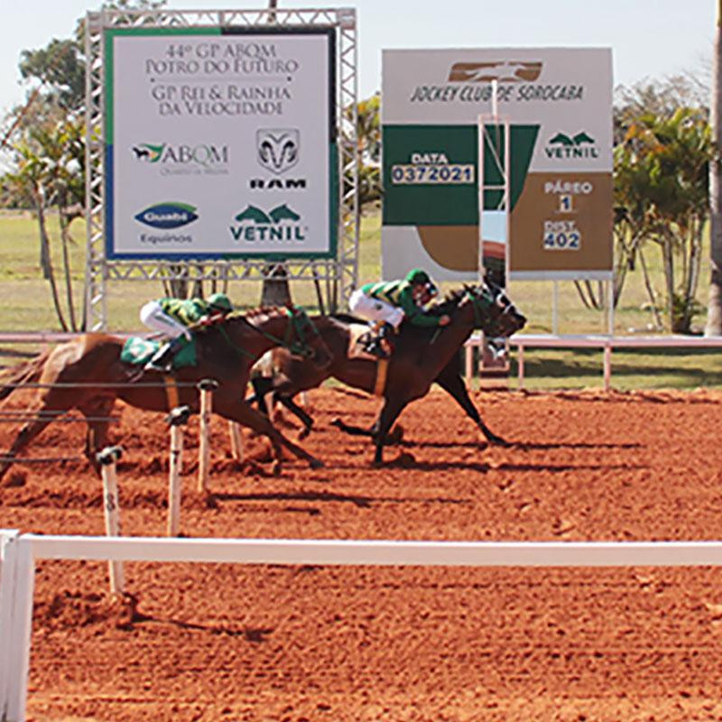 Ler mais sobre XLIV GP ABQM Potro do Futuro 2021