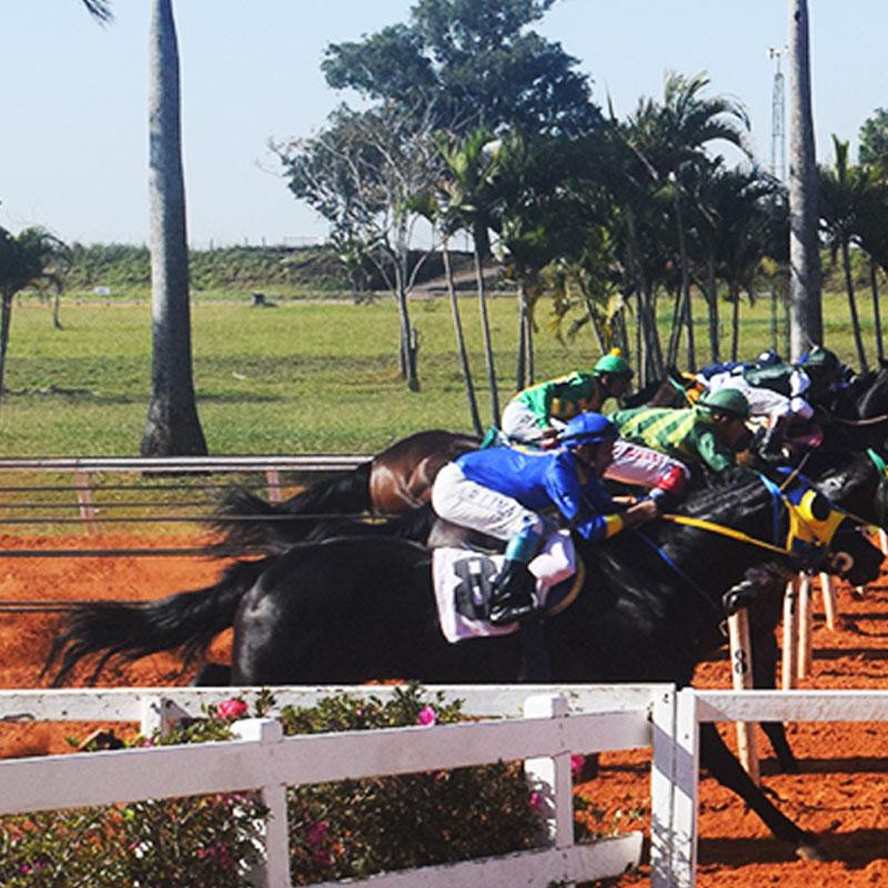 Ler mais sobre GP ABQM REI DA VELOCIDADE - 2022