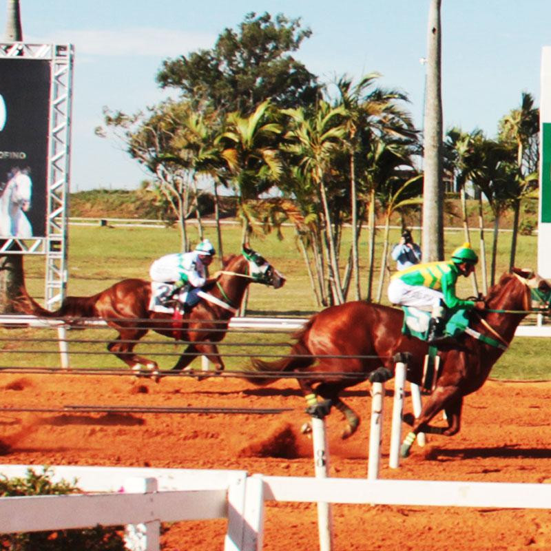 Ler mais sobre GP BRAZILIAN FUTURITY - 2022