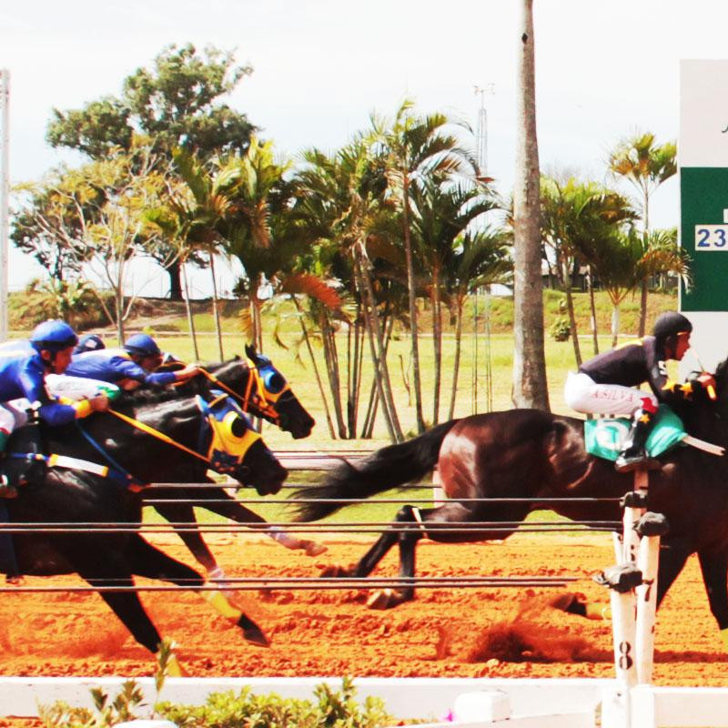 Ler mais sobre GP PRES. Centro Hípico do Oeste - I Derby - Sr. Jonatas Dantas