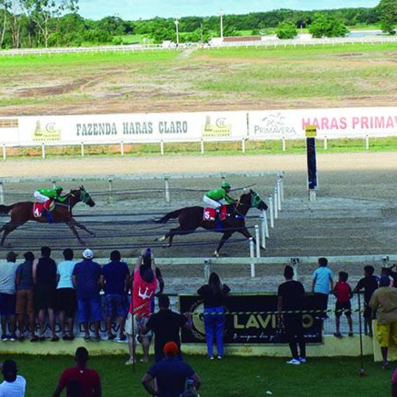 Ler mais sobre XVI GP Haras primavera e Leilão Haras Primavera 2023