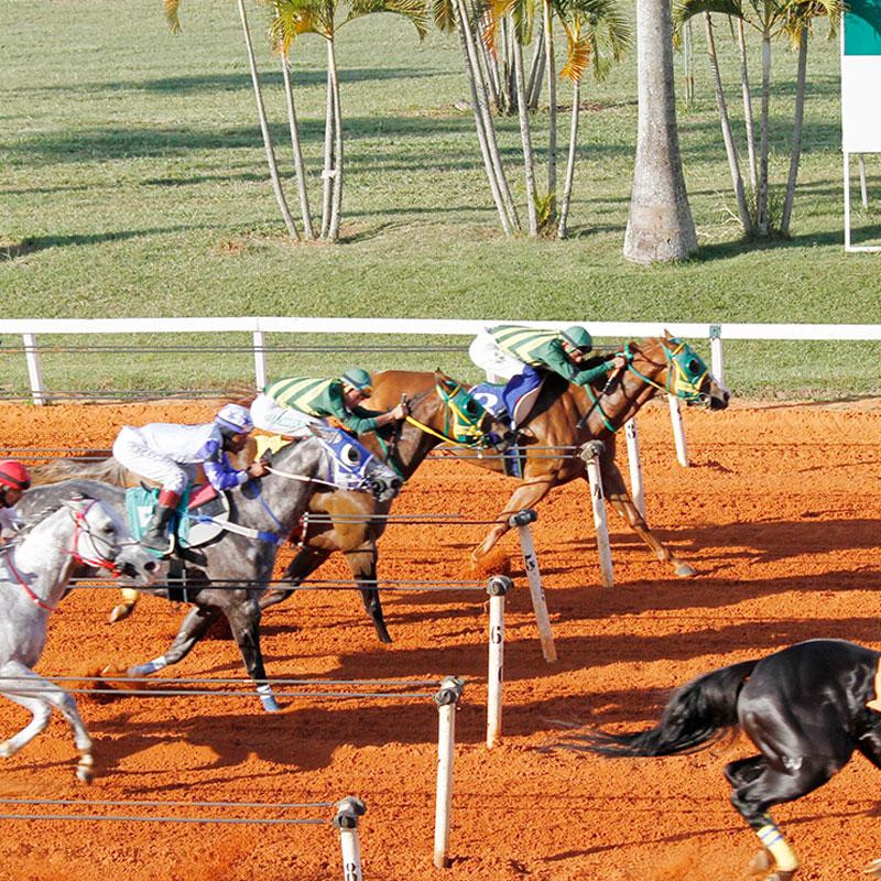 Ler mais sobre BLACK GOOD DASH WA vence o GP Pres. da ABQM - II DERBY