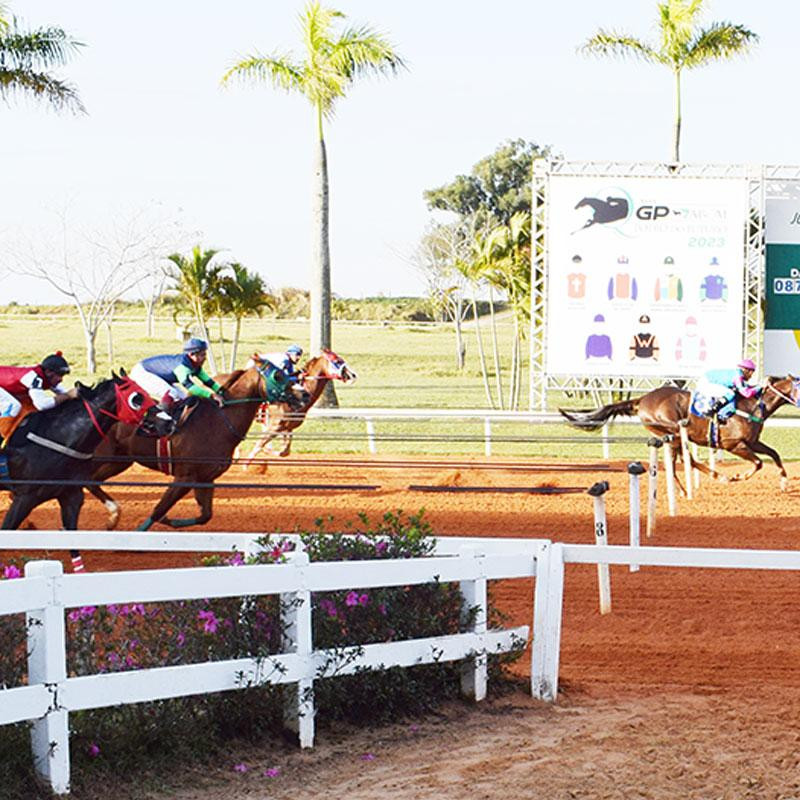 Ler mais sobre XLVI GP ABQM POTRO DO FUTURO 2023
