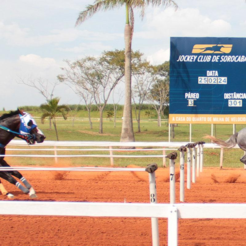 Ler mais sobre GP WA FUTURITY 2024 no Jockey Club de Sorocaba