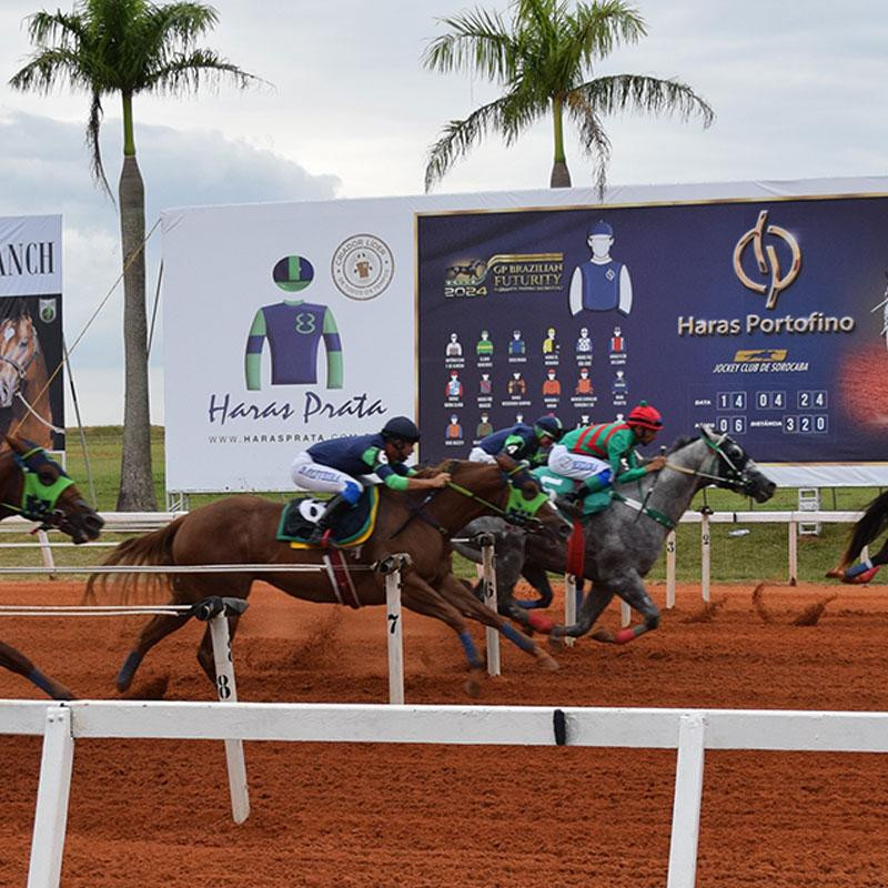 Ler mais sobre GP BRAZILIAN FUTURITY 2024
