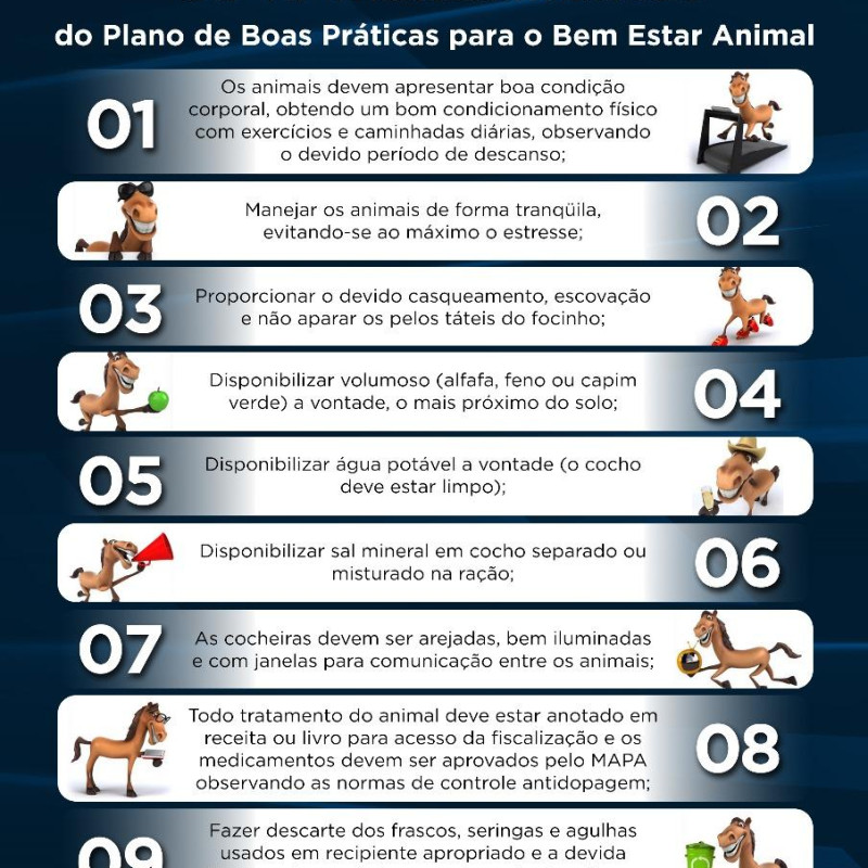 Ler mais sobre Os 10 mandamentos do cavalo
