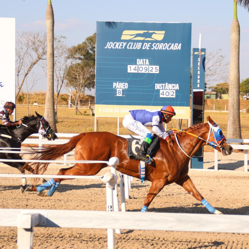  FINAL - XLVIII GP ABQM Potro do Futuro 2025