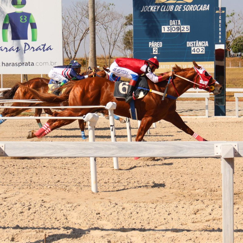  Segundo Páreo - Classificatória - GP ABQM Potro do Futuro 2025