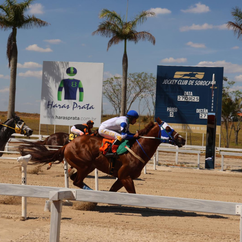 GP Taça de Bronze - Final  2025