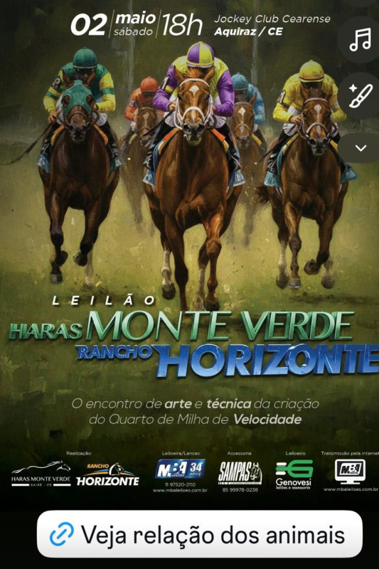 LEILÃO HARAS MONTE VERDE  E RANCHO HORIZONTE