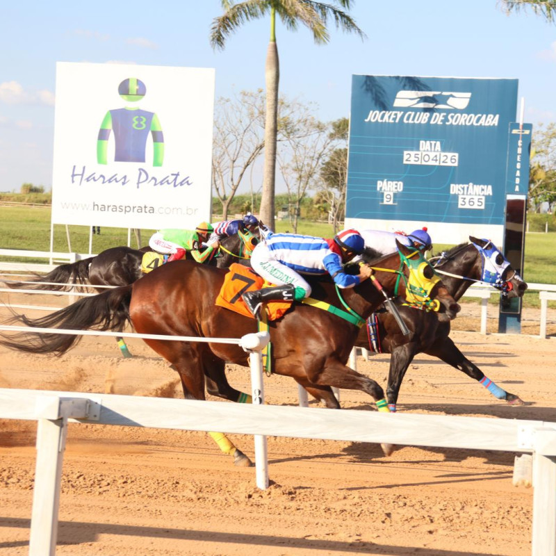 GP PRES ABQM- II DERBY -Sra.Monica Ribeiro Castro Cunha