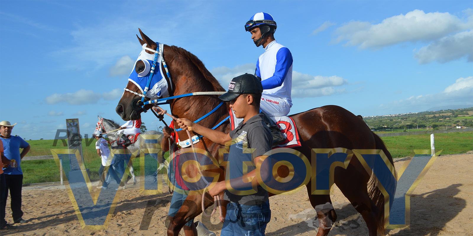V GP CENTRO EQUESTRE MAINZÃO (CEM) - 2016 V GP CENTRO EQUESTRE MAINZÃO (CEM) - 2016