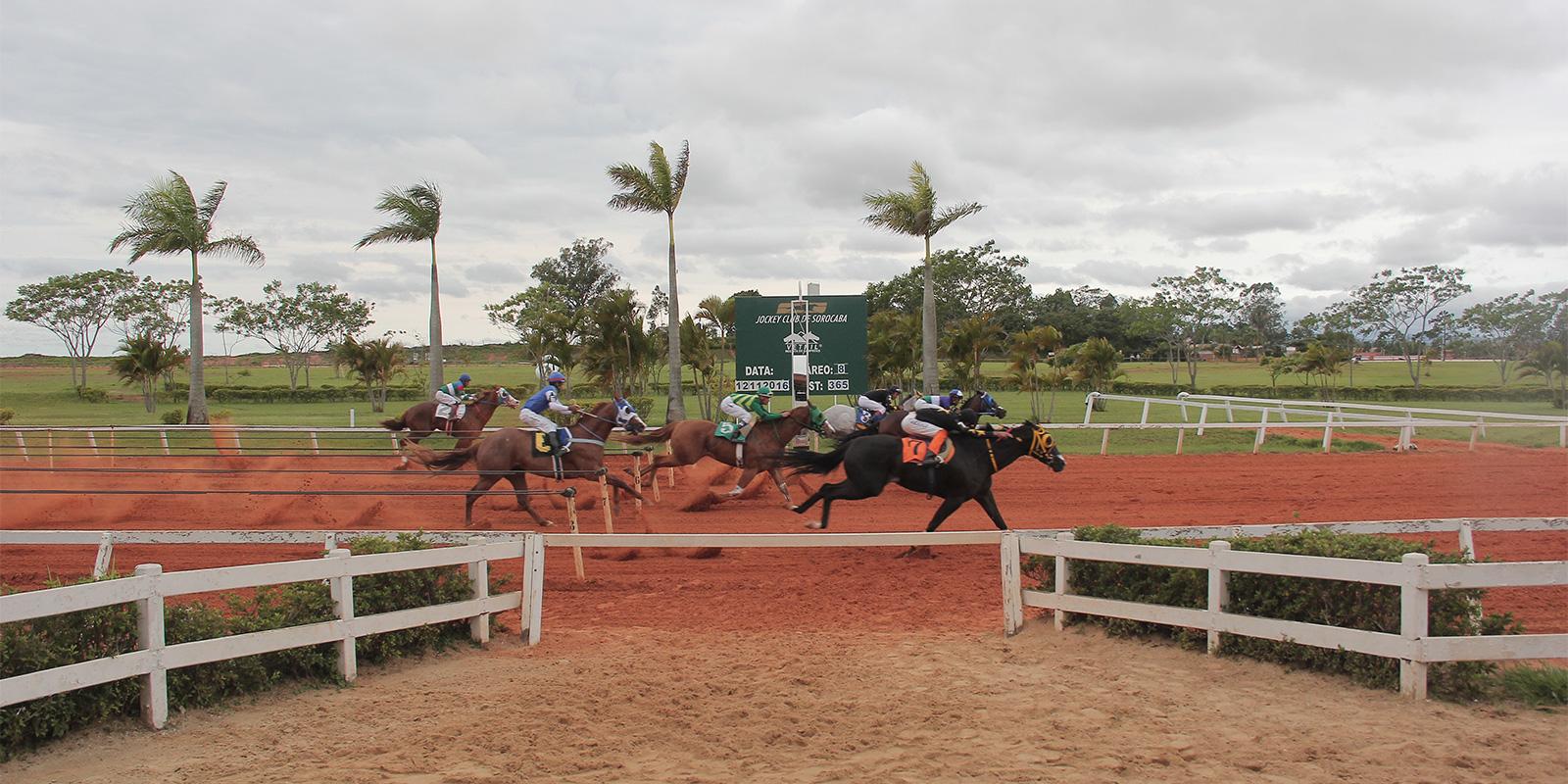 MUST GO REASON SA  LEVA O TROFEU CAMPEÃO DOS CAMPEÕES 2016
