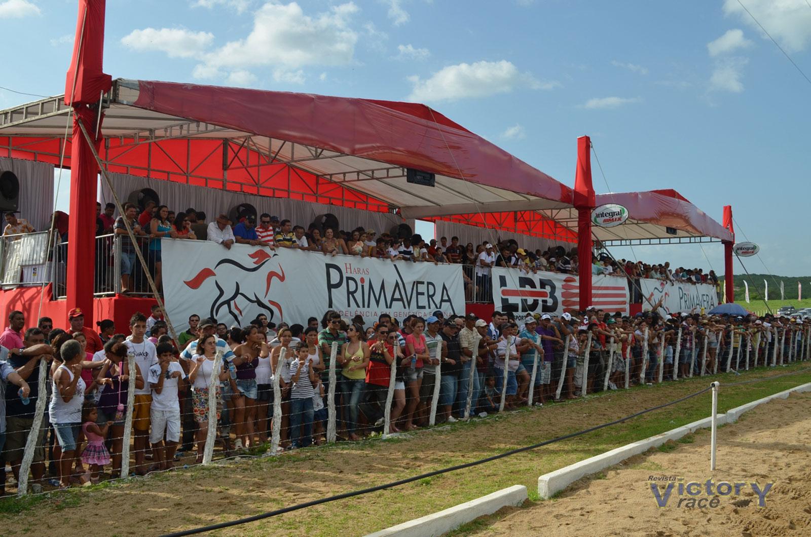 DEZ ANOS DE GP HARAS PRIMAVERA! DEZ ANOS DE GP HARAS PRIMAVERA!