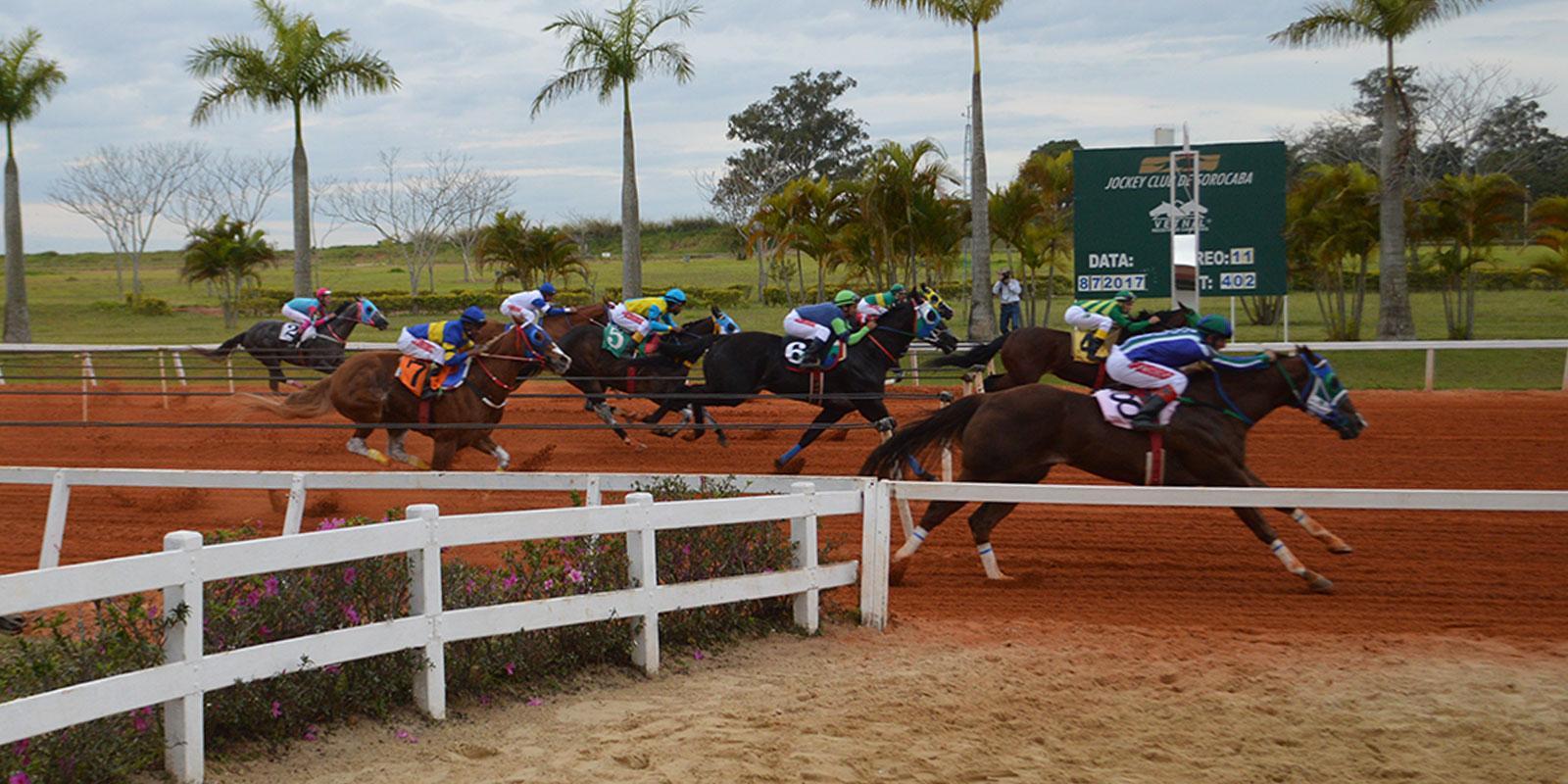 XL GP ABQM POTRO DO FUTURO 2017 XL GP ABQM POTRO DO FUTURO 2017