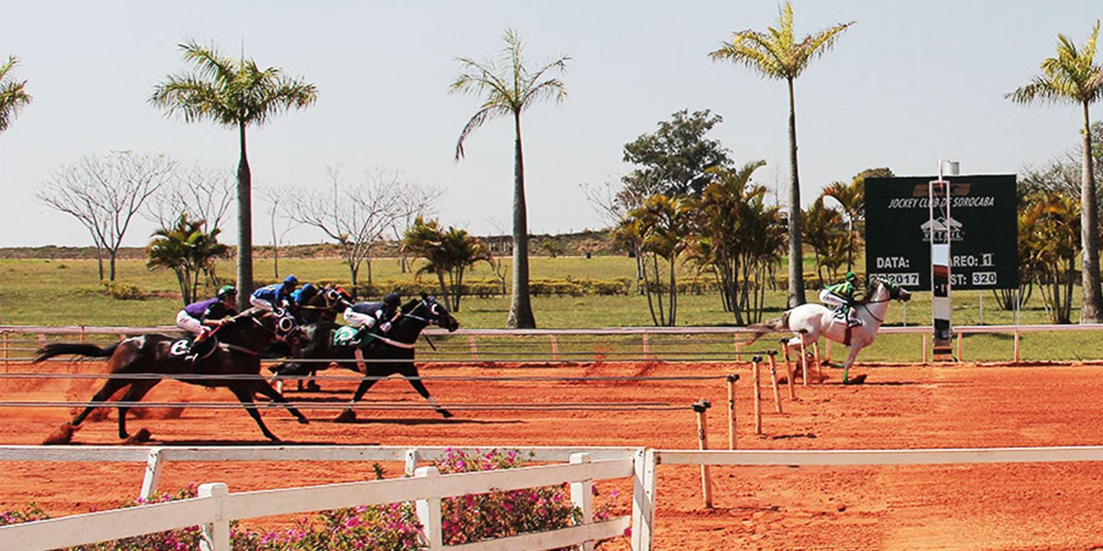 1º Páreo - Reunião 14 no Jockey Club de Sorocaba