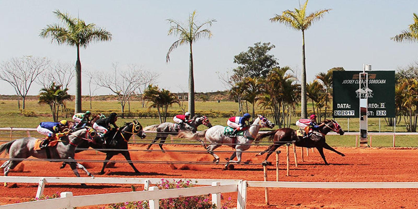 2º Páreo - Reunião 14 no Jockey Club de Sorocaba 2º Páreo - Reunião 14 no Jockey Club de Sorocaba