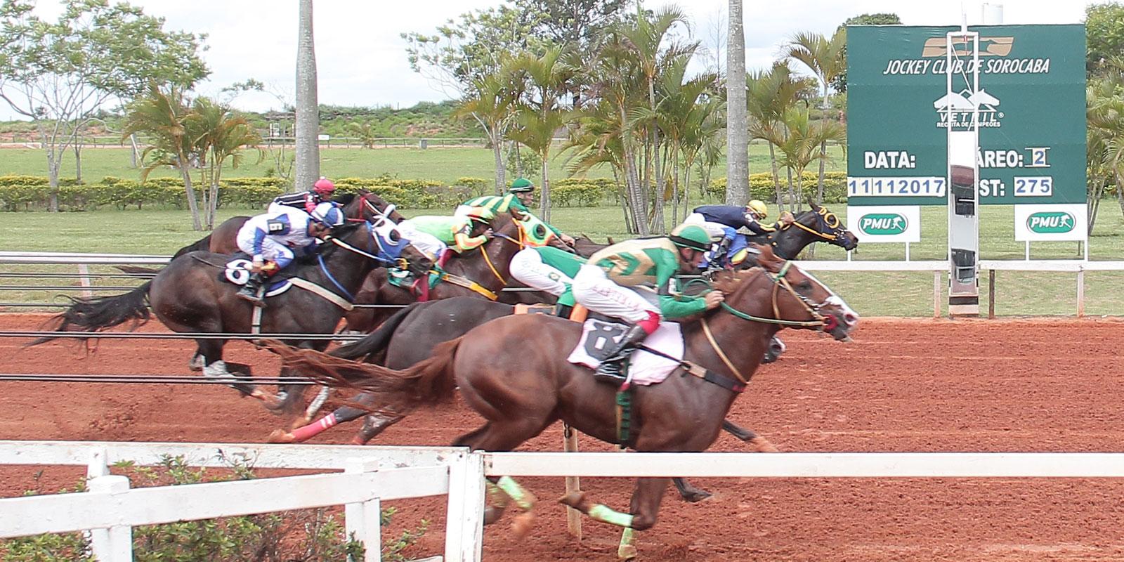 Segundo Páreo - VEREADOR JOÃO DONIZETE SILVESTRE Segundo Páreo - VEREADOR JOÃO DONIZETE SILVESTRE