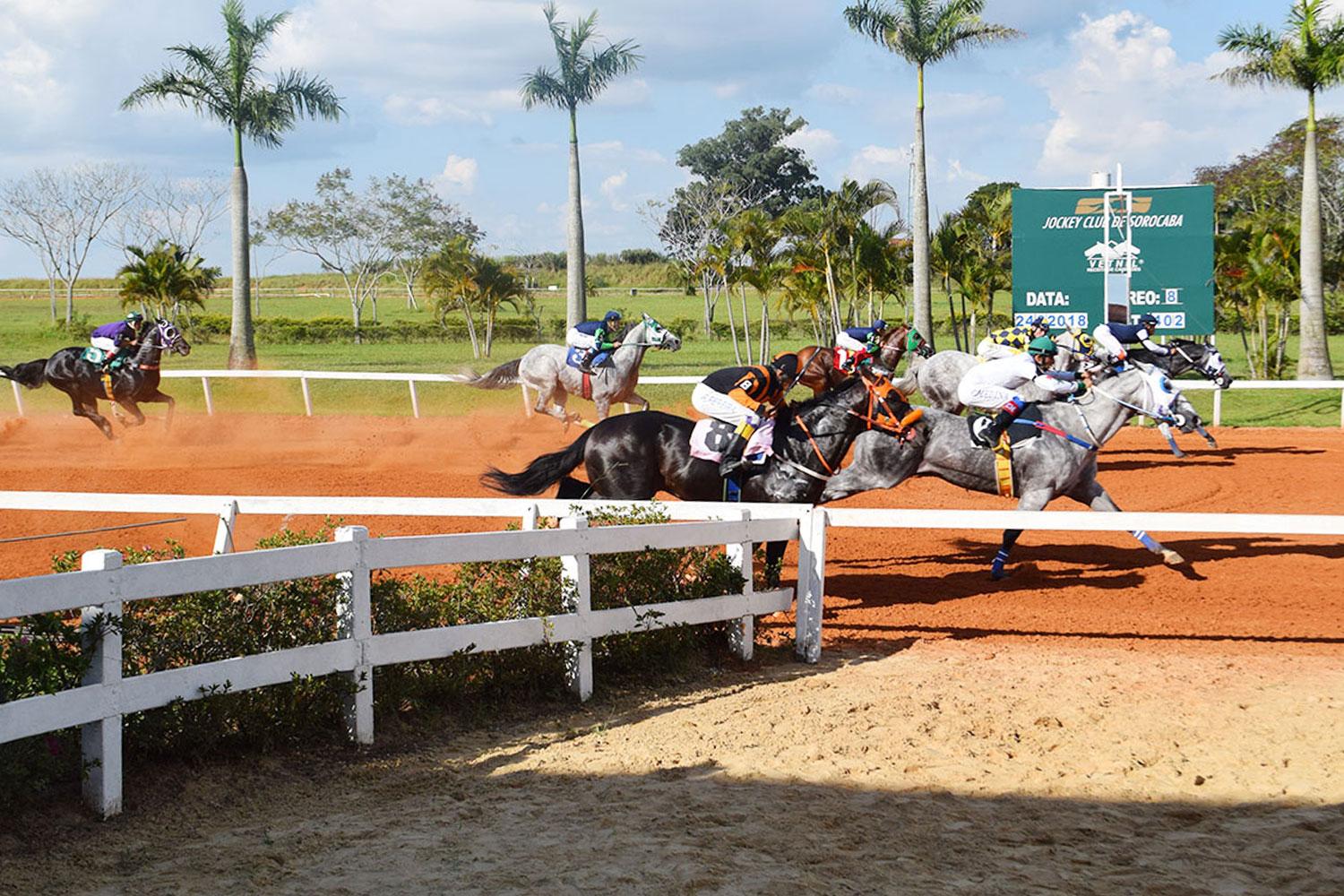 HARAS PORTOFINO CAMPEÃO DO CHALLENGE 2018 HARAS PORTOFINO CAMPEÃO DO CHALLENGE 2018