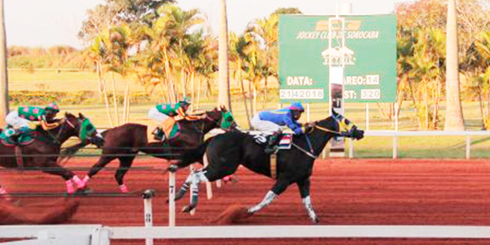 GP BRAZILIAN FUTURITY O SEGUNDO MAIOR GP DO BRASIL DA RAÇA QUARTO DE MILHA GP BRAZILIAN FUTURITY O SEGUNDO MAIOR GP DO BRASIL DA RAÇA QUARTO DE MILHA