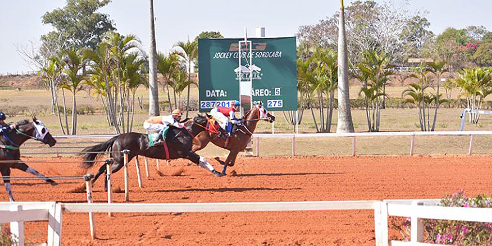 Sorocaba - Reunião 11/2018 - 28.07.2018 (Classificatória) Sorocaba - Reunião 11/2018 - 28.07.2018 (Classificatória)