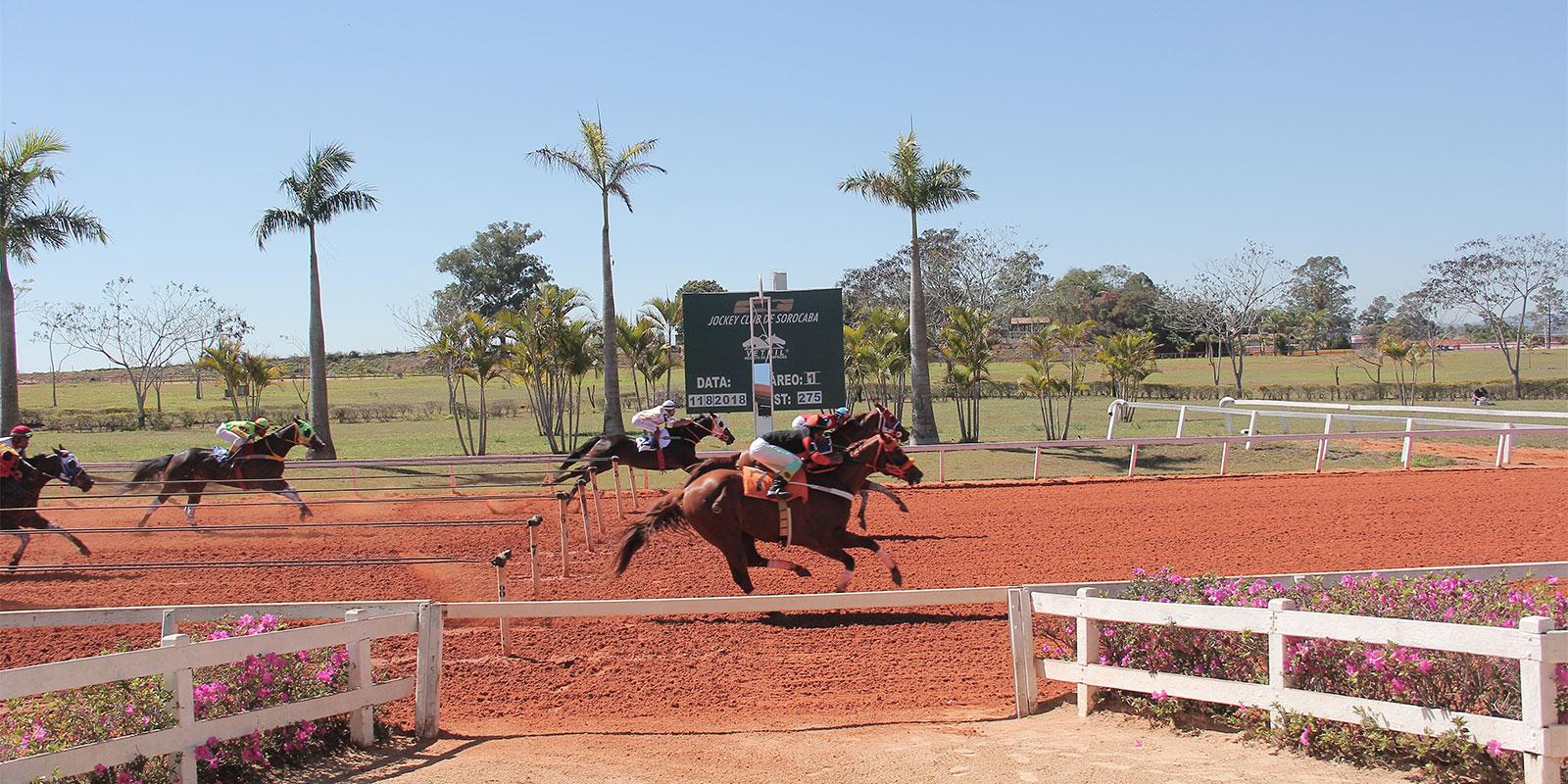 Reunião 12/2018 - Jockey Club de Sorocaba - 11/08/2018 Reunião 12/2018 - Jockey Club de Sorocaba - 11/08/2018
