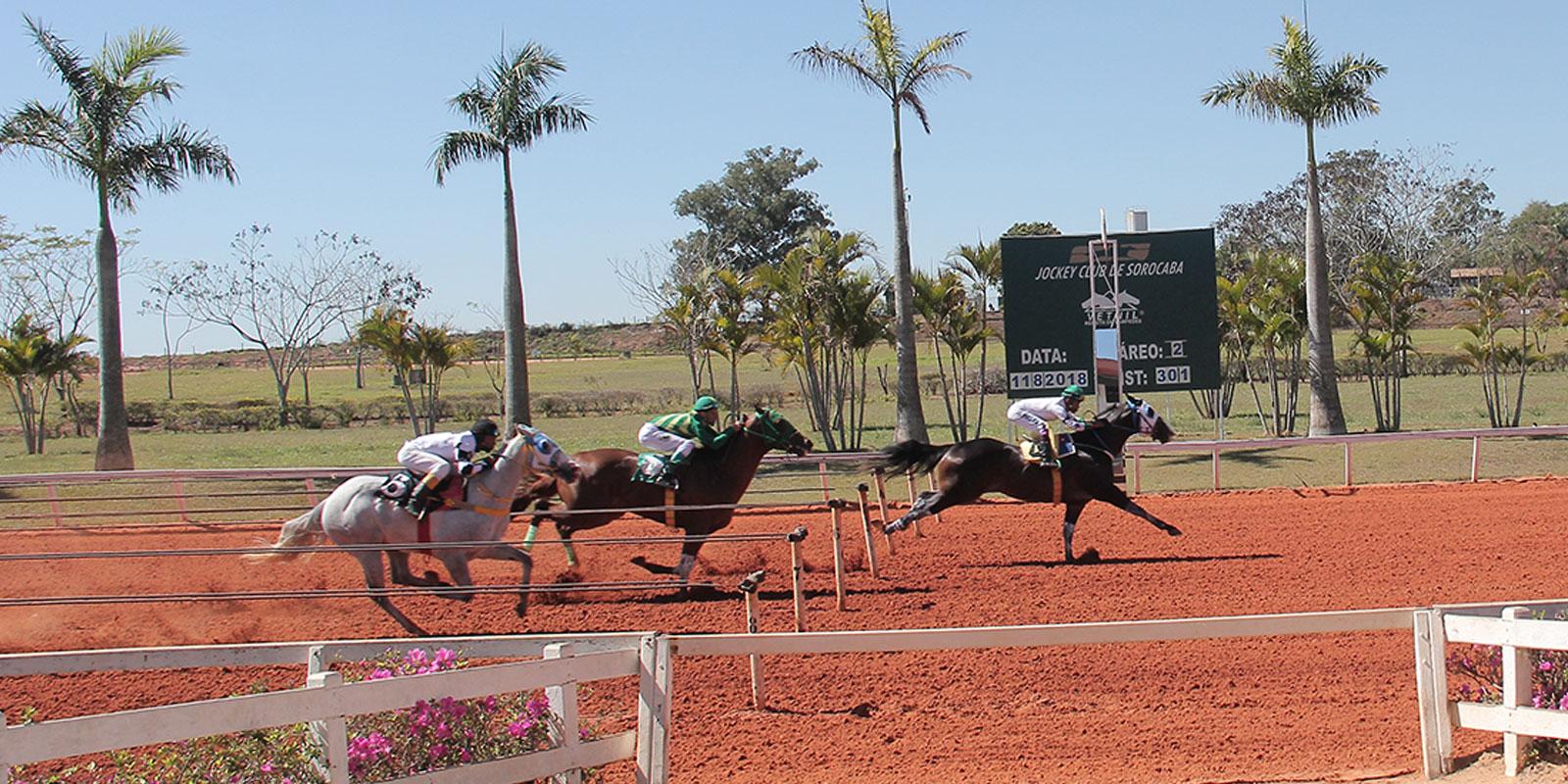 Reunião 12/2018 - Jockey Club de Sorocaba - 11/08/2018 Reunião 12/2018 - Jockey Club de Sorocaba - 11/08/2018