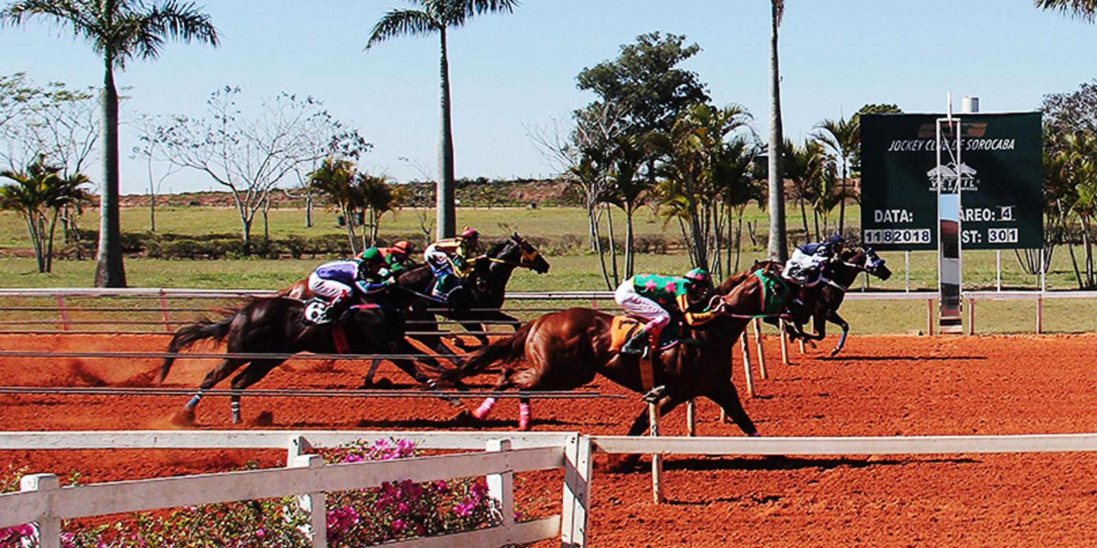 Reunião 12/2018 - Jockey Club de Sorocaba - 11/08/2018 Reunião 12/2018 - Jockey Club de Sorocaba - 11/08/2018