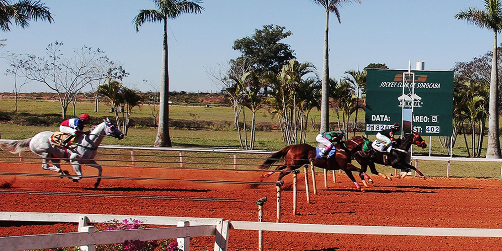Reunião 12/2018 - Jockey Club de Sorocaba - 11/08/2018 Reunião 12/2018 - Jockey Club de Sorocaba - 11/08/2018