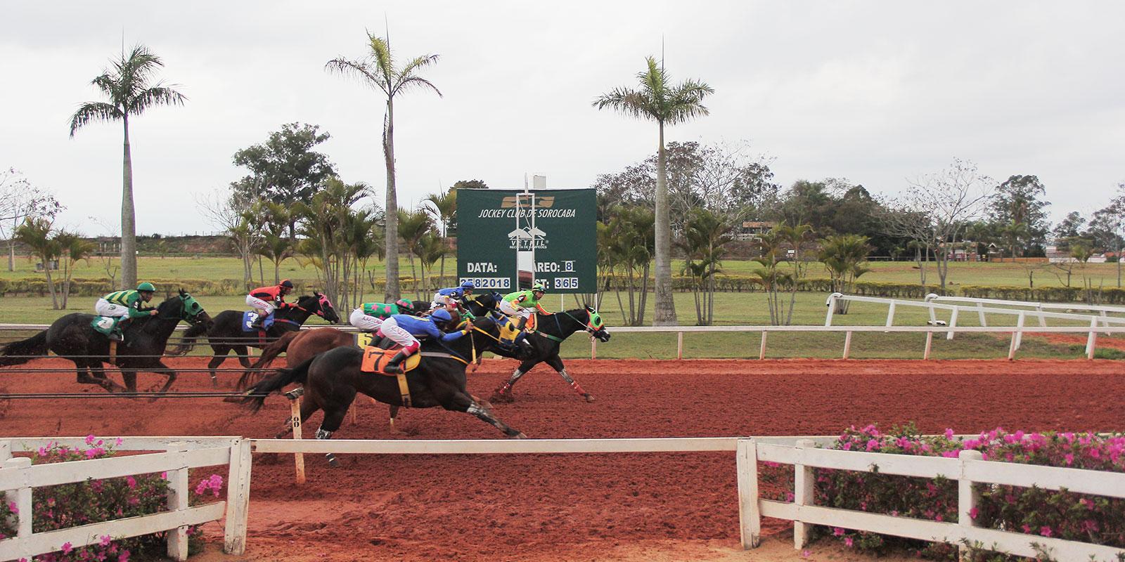 GP BRASIL - II TRIPLICE COROA 
