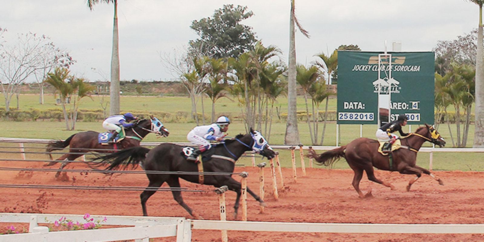 QUARTO PÁREO - CLASSIFICATÓRIA GP TAÇA DE PRATA QUARTO PÁREO - CLASSIFICATÓRIA GP TAÇA DE PRATA