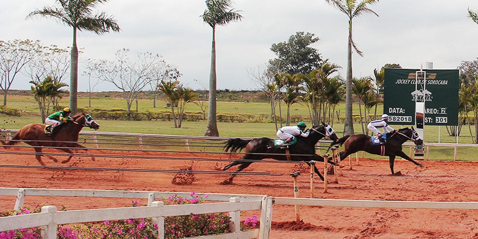 Segundo Páreo - Classificatória GP Taça de Prata Segundo Páreo - Classificatória GP Taça de Prata