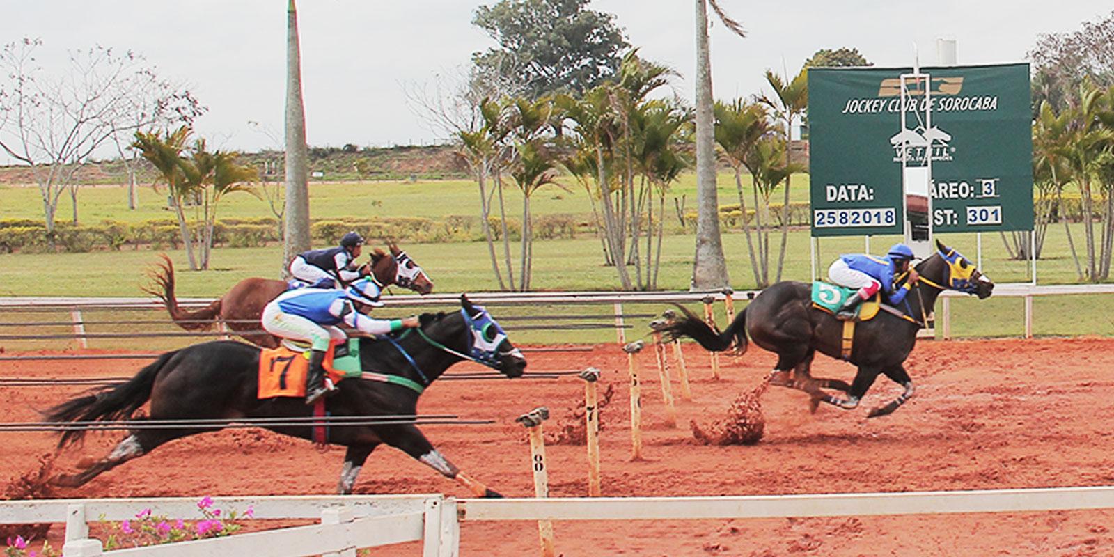 TERCEIRO PÁREO - CLASSIFICATÓRIA GP TAÇA DE PRATA TERCEIRO PÁREO - CLASSIFICATÓRIA GP TAÇA DE PRATA